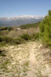 DSC03222.jpg
