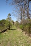 DSC03223.jpg