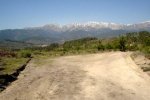 DSC03220.jpg