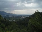P5100007.jpg