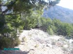 PICT0030.jpg