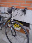 DSC00105.jpg