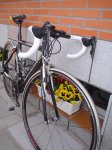 DSC00116.jpg