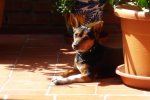 DSC09120.jpg