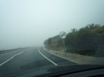 P1010206_resize.JPG