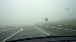 P1010207_resize.JPG