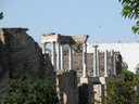 136.JPG