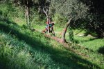 DSC_0521.JPG