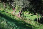 DSC_0522.JPG