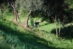 DSC_0523.JPG