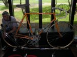 eddymerckx.jpg