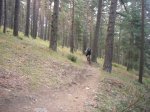 Foto14.JPG