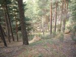 Foto15.JPG