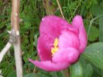 Foto29.JPG