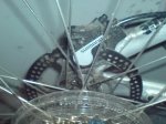 DSC00876.jpg