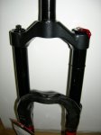 DT 014.jpg