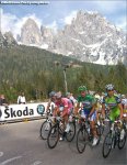 giro09st04mc-pinkgreen[1].jpg