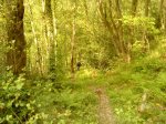 DSC00063.jpg