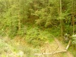 DSC00065.jpg