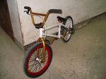 DSC03830.jpg