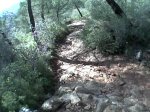 snapshot20090513005605.jpg