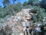 snapshot20090513005724.jpg