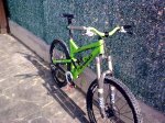 pintada covert 009.jpg