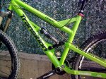 pintada covert 012.jpg