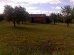 11052009559.jpg