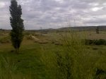 11052009576.jpg