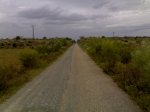11052009577.jpg