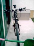 50400184.jpg