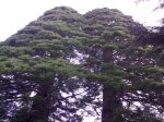 13052009157.JPG