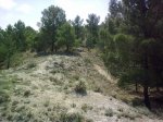 descenso castillo 001.jpg