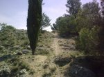 descenso castillo 004.jpg