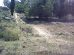 descenso castillo 006.jpg