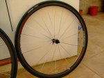 DSCF5661 [50%].jpg