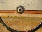 DSCF5662 [50%].jpg