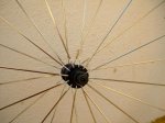 DSCF5663 [50%].jpg