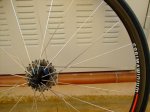 DSCF5664 [50%].jpg
