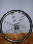 DSC09790.JPG