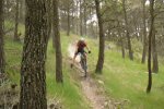 Alcoi_090509_176.jpg