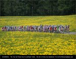 giro09st06-yellow[1].jpg