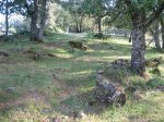 Imagen 050.jpg