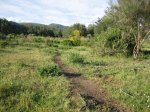 Imagen 053.jpg