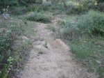 Imagen 059.jpg