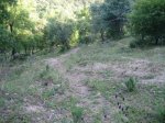Imagen 066.jpg