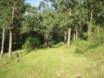 Imagen 072.jpg