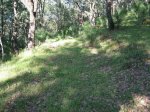 Imagen 073.jpg