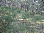 Imagen 076.jpg